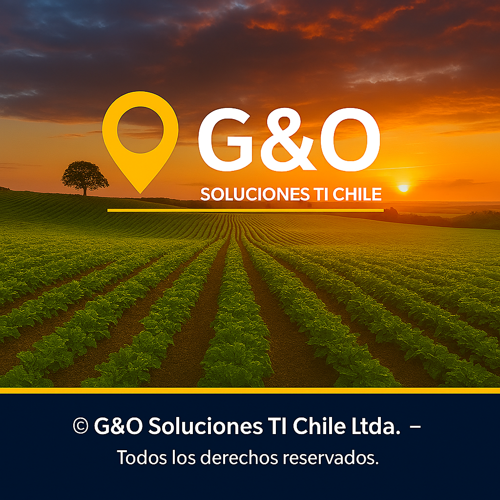 Grupo G&O
